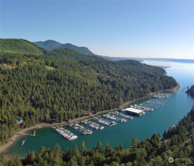 2 XXXX Mt Jupiter Road , Brinnon, WA 98376 - Photo 28