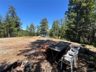 2 XXXX Mt Jupiter Road , Brinnon, WA 98376 - Photo 30