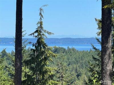 2 XXXX Mt Jupiter Road , Brinnon, WA 98376 - Photo 3