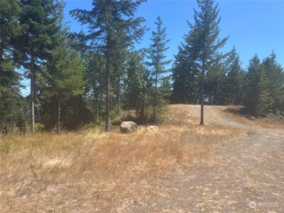 2 XXXX Mt Jupiter Road , Brinnon, WA 98376 - Photo 6