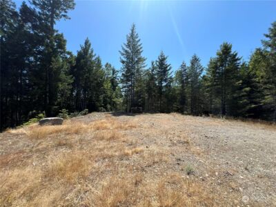 2 XXXX Mt Jupiter Road , Brinnon, WA 98376 - Photo 7