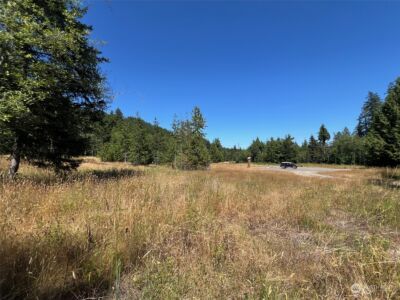 2 XXXX Mt Jupiter Road , Brinnon, WA 98376 - Photo 8