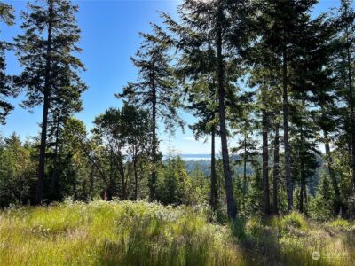 2 XXXX Mt Jupiter Road , Brinnon, WA 98376 - Photo 9