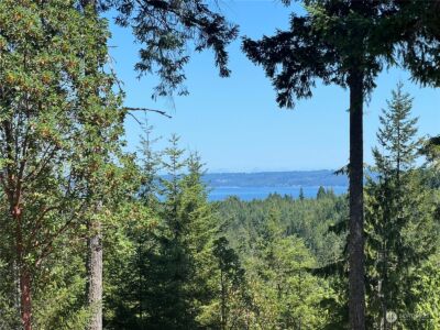 2 XXXX Mt Jupiter Road , Brinnon, WA 98376 - Photo 10