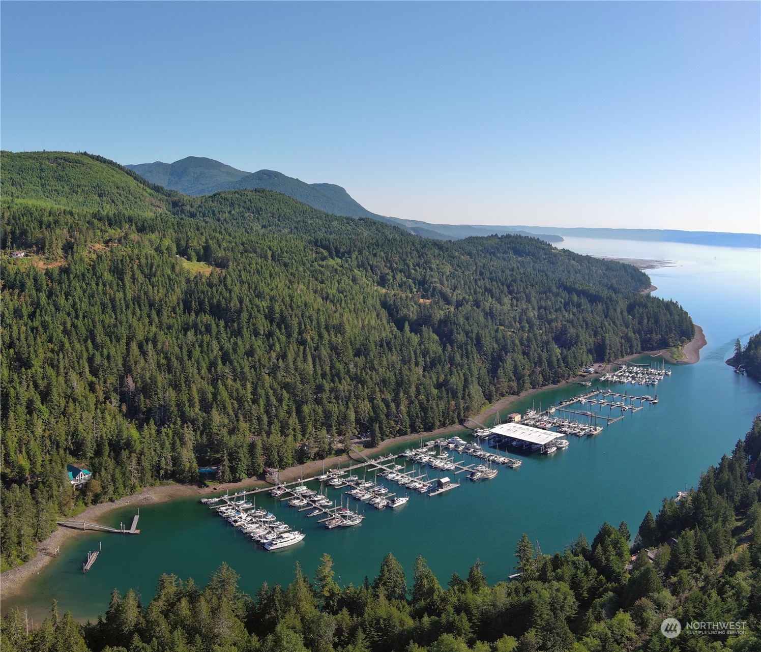 1 XXXX Mt Jupiter Road , Brinnon, WA 98320