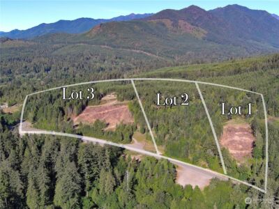 1 XXXX Mt Jupiter Road , Brinnon, WA 98320 - Photo 12