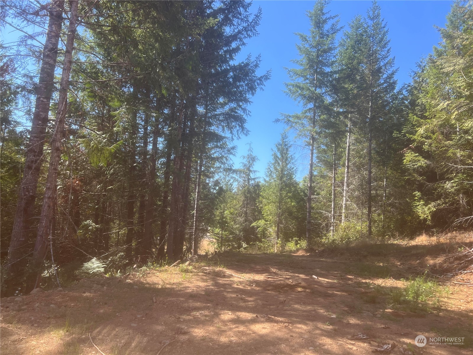 1 XXXX Mt Jupiter Road , Brinnon, WA 98320