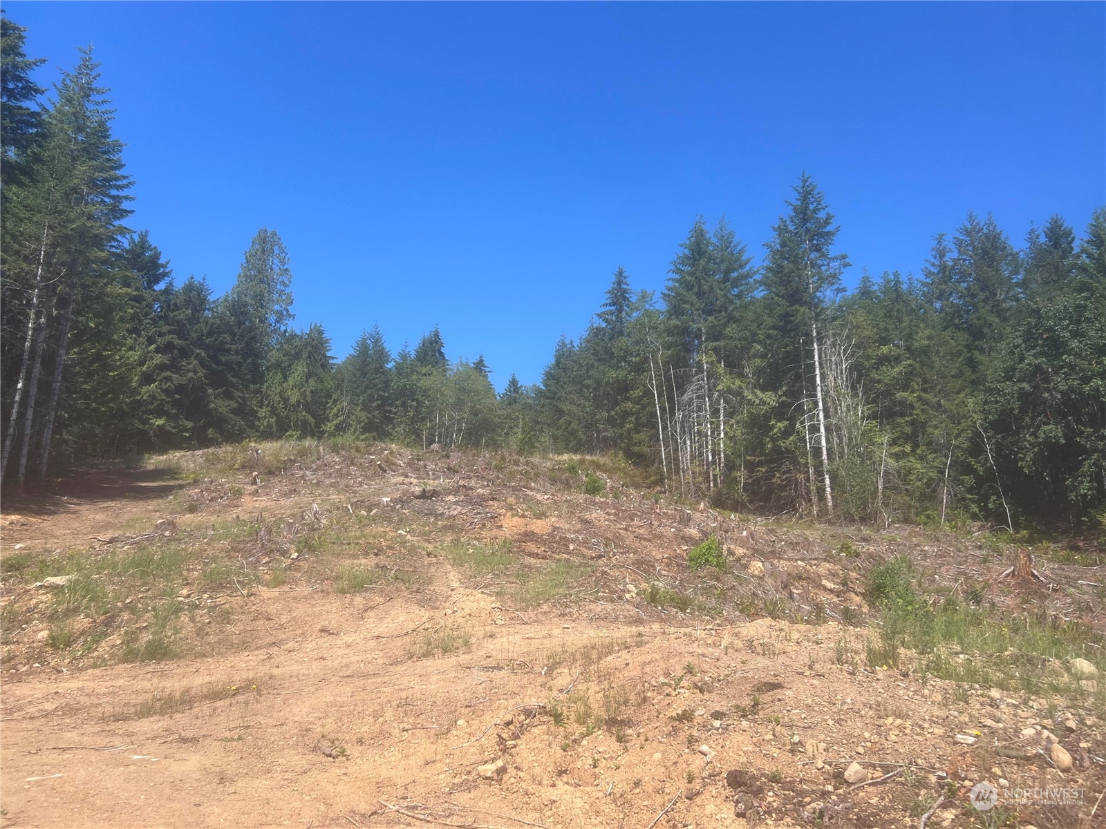 1 XXXX Mt Jupiter Road , Brinnon, WA 98320