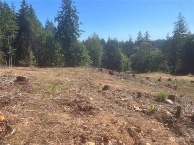 1 XXXX Mt Jupiter Road , Brinnon, WA 98320 - Photo 15