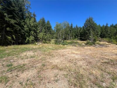 1 XXXX Mt Jupiter Road , Brinnon, WA 98320 - Photo 16