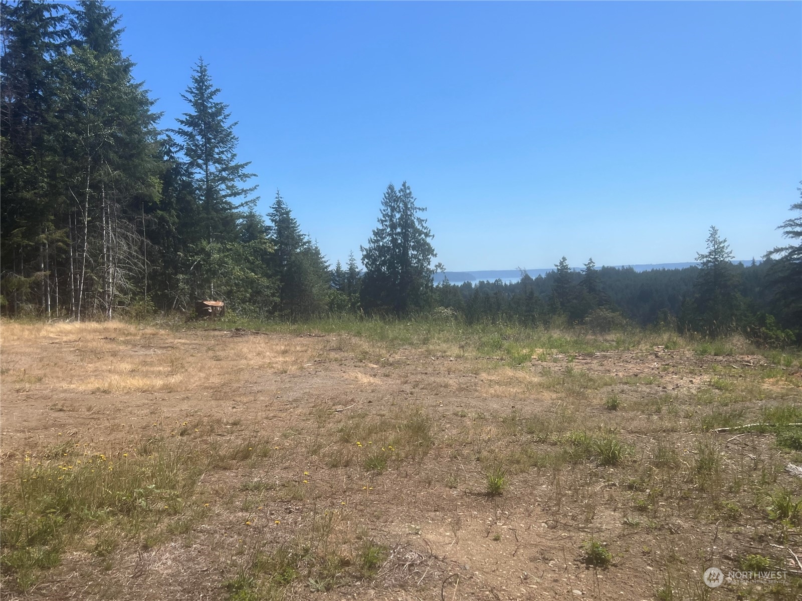 1 XXXX Mt Jupiter Road , Brinnon, WA 98320