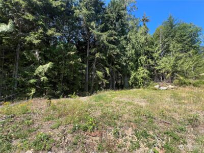 1 XXXX Mt Jupiter Road , Brinnon, WA 98320 - Photo 18