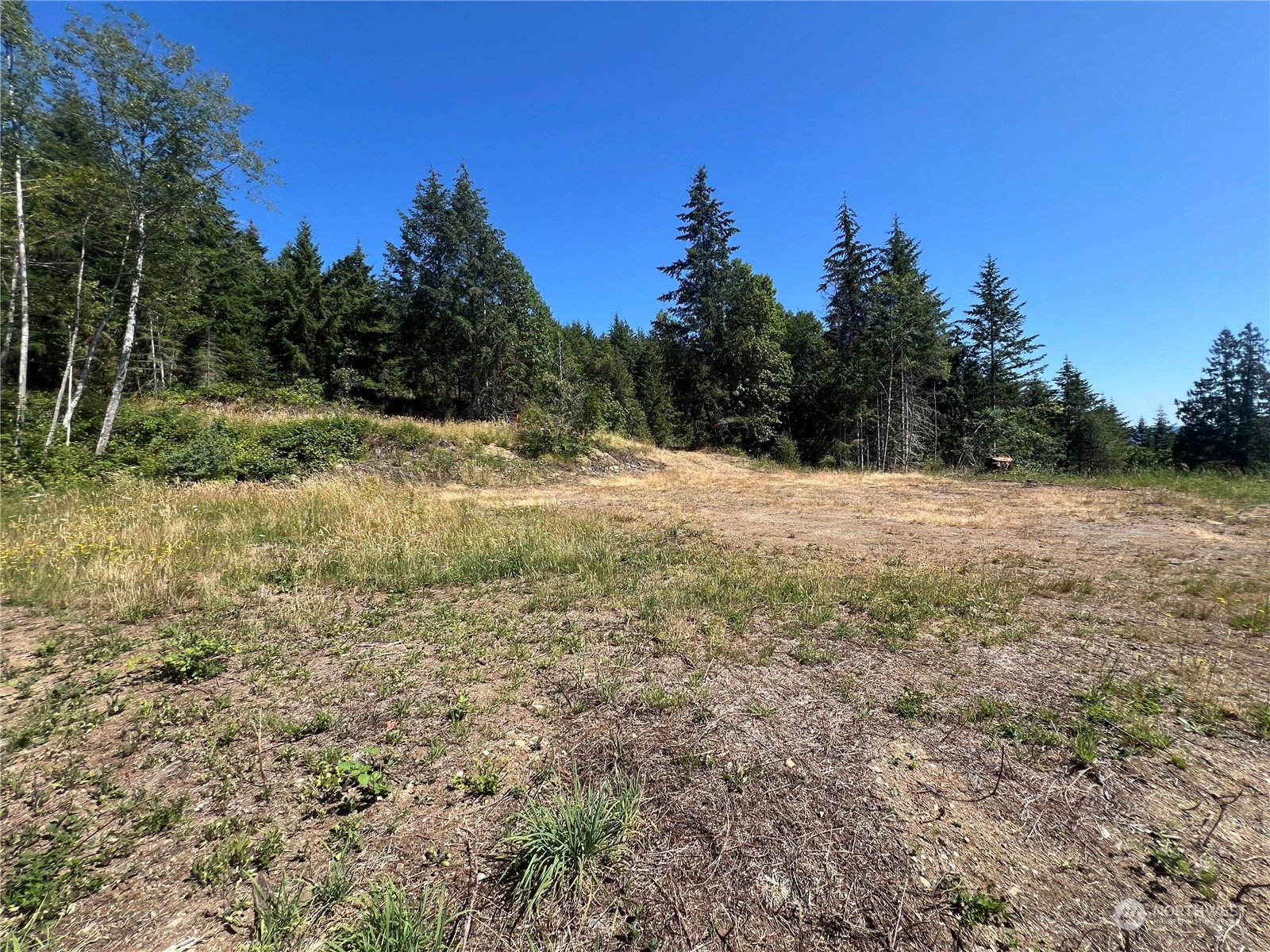 1 XXXX Mt Jupiter Road , Brinnon, WA 98320