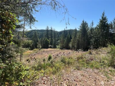 1 XXXX Mt Jupiter Road , Brinnon, WA 98320 - Photo 20