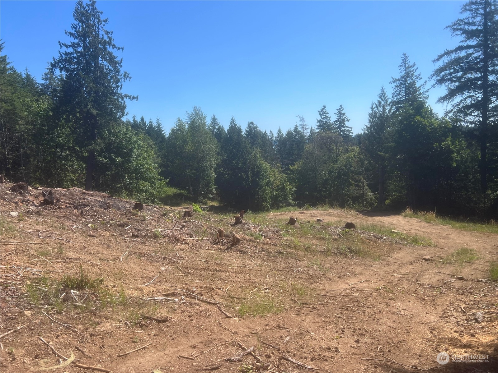 1 XXXX Mt Jupiter Road , Brinnon, WA 98320