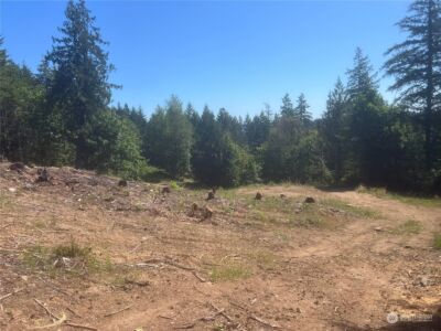 1 XXXX Mt Jupiter Road , Brinnon, WA 98320 - Photo 21