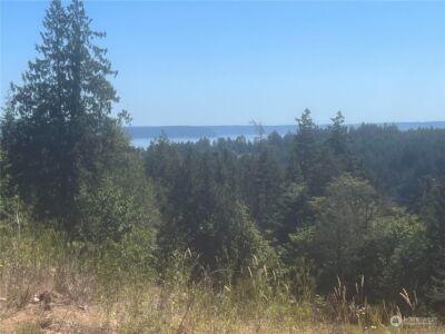 1 XXXX Mt Jupiter Road , Brinnon, WA 98320 - Photo 5