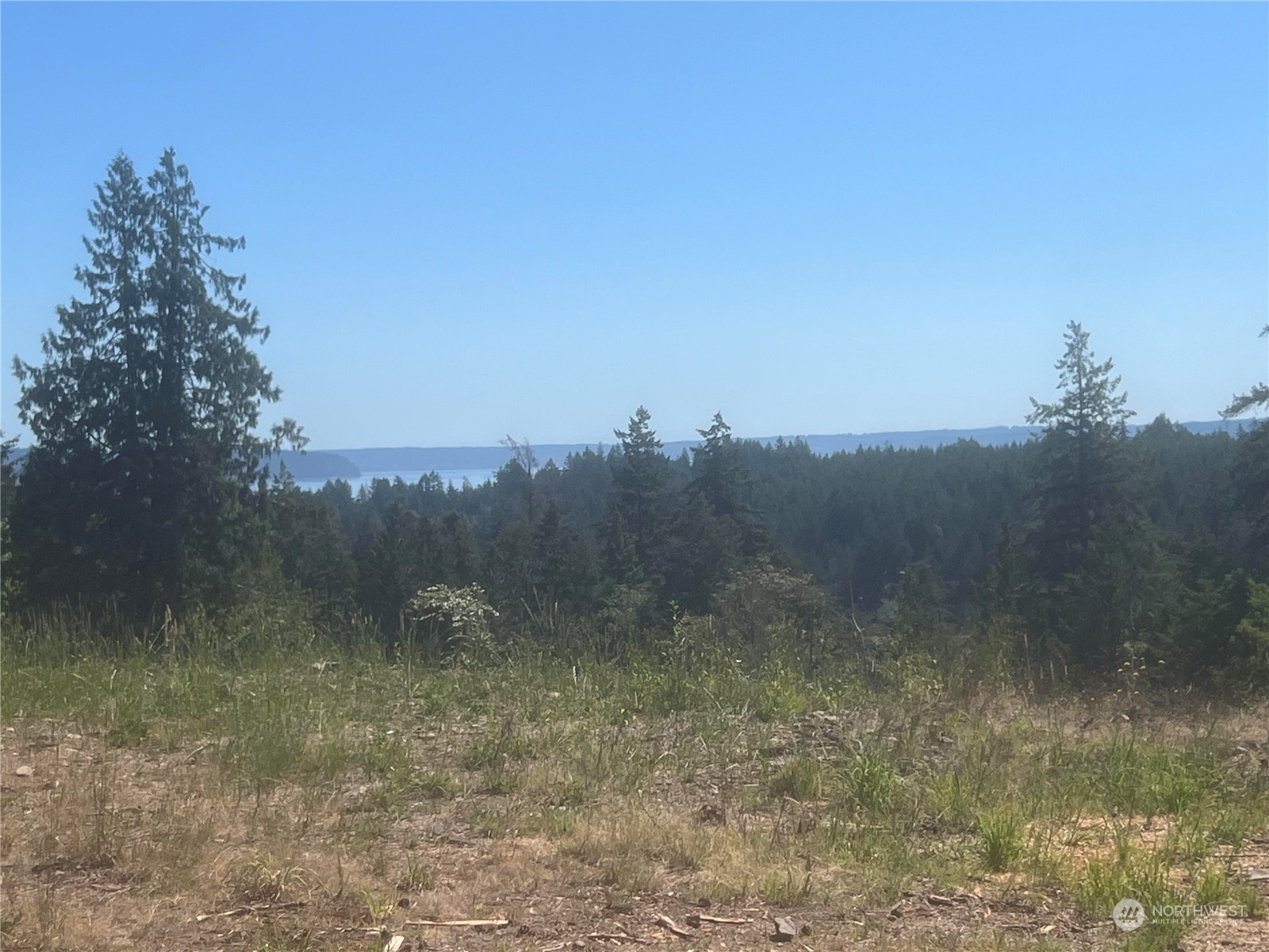 1 XXXX Mt Jupiter Road , Brinnon, WA 98320