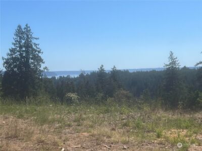 1 XXXX Mt Jupiter Road , Brinnon, WA 98320 - Photo 6