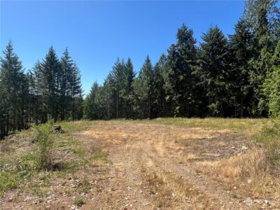 1 XXXX Mt Jupiter Road , Brinnon, WA 98320 - Photo 8