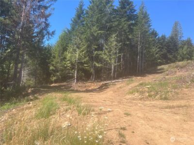 1 XXXX Mt Jupiter Road , Brinnon, WA 98320 - Photo 9