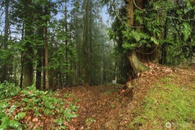 13102 NW 8th Way #C, Vancouver, WA 98685 - Photo 27