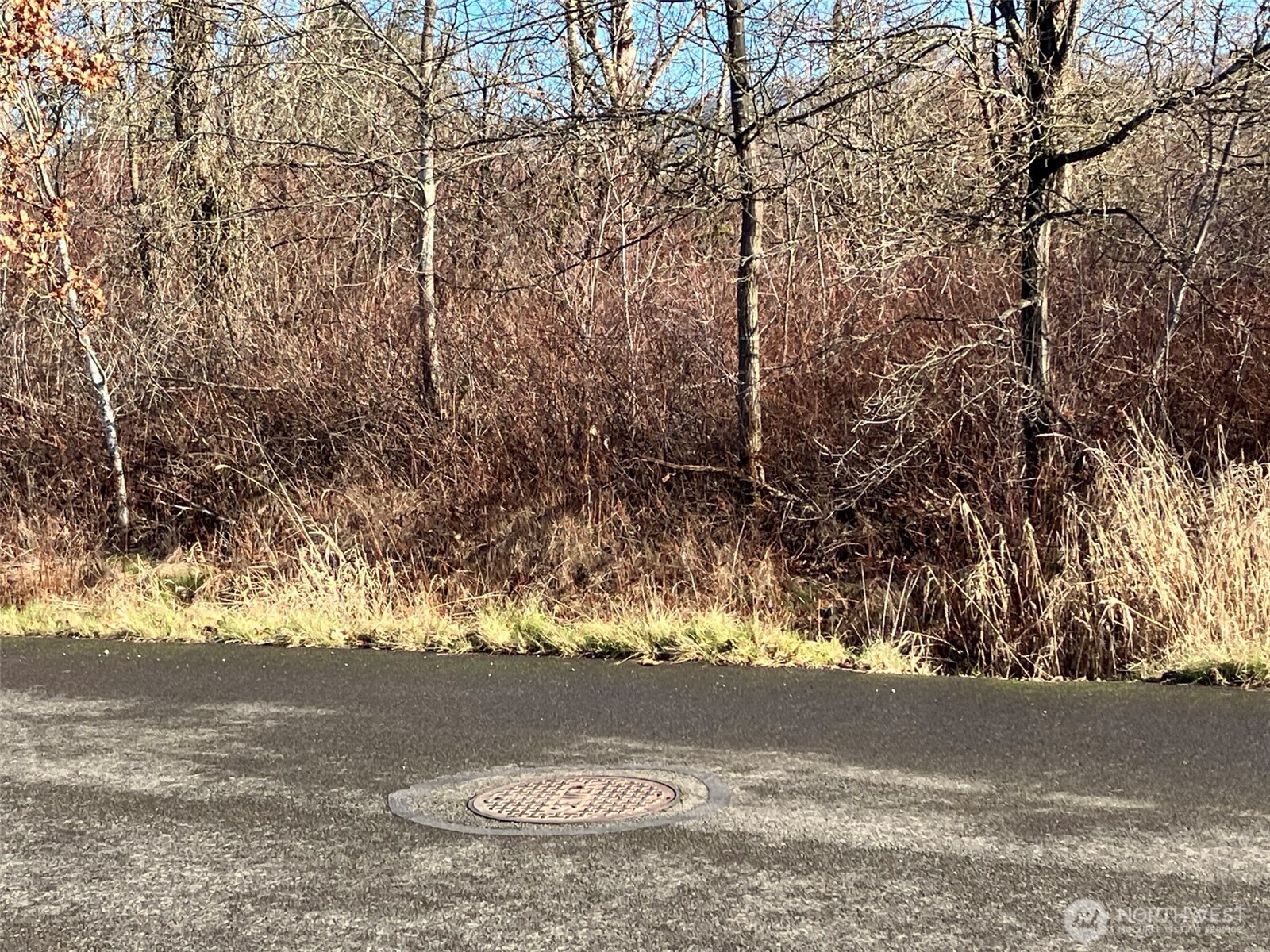 0 xx 266th Avenue SE, Enumclaw, WA 98022