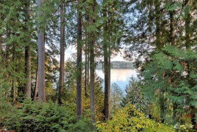 898 SE Dahman Road , Shelton, WA 98584 - Photo 39