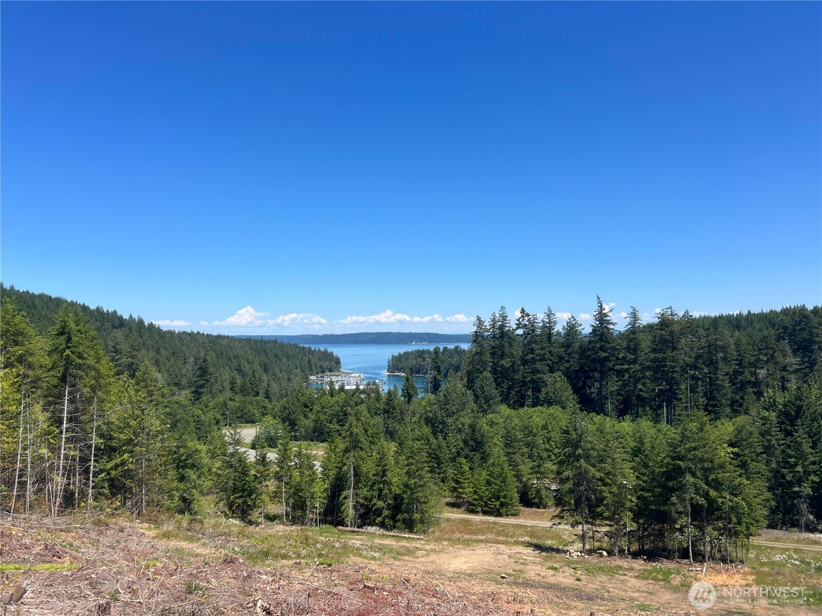 3 XXXX Mt Jupiter Road , Brinnon, WA 98320