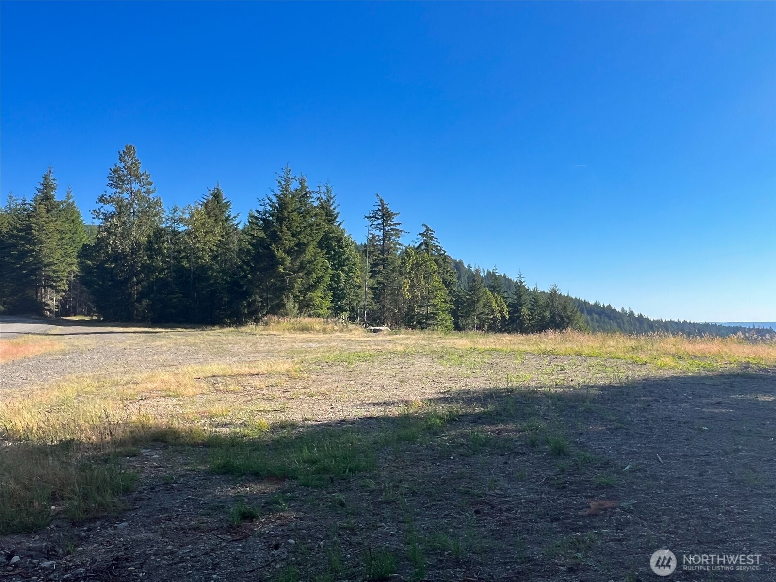 3 XXXX Mt Jupiter Road , Brinnon, WA 98320