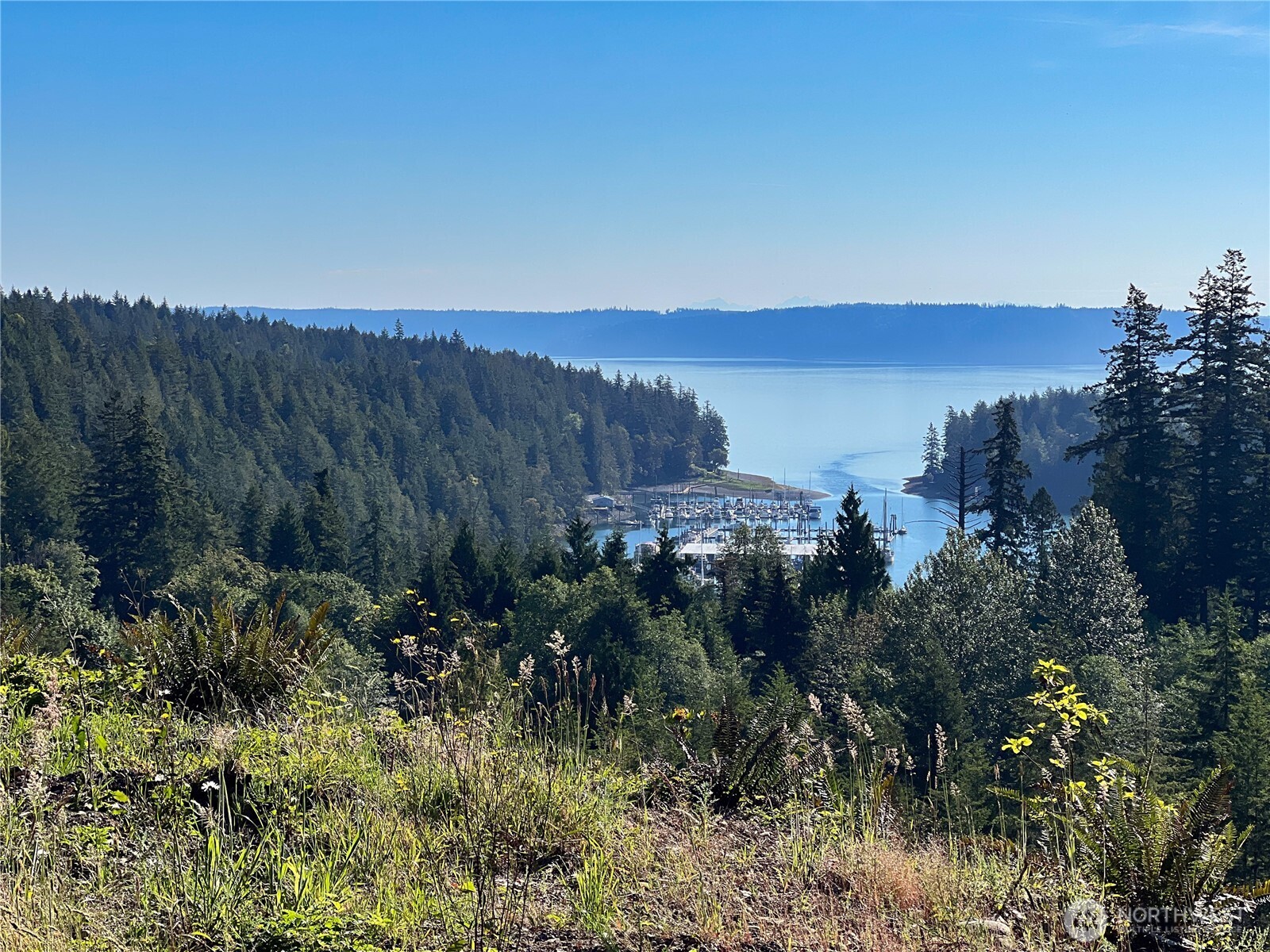 3 XXXX Mt Jupiter Road , Brinnon, WA 98320