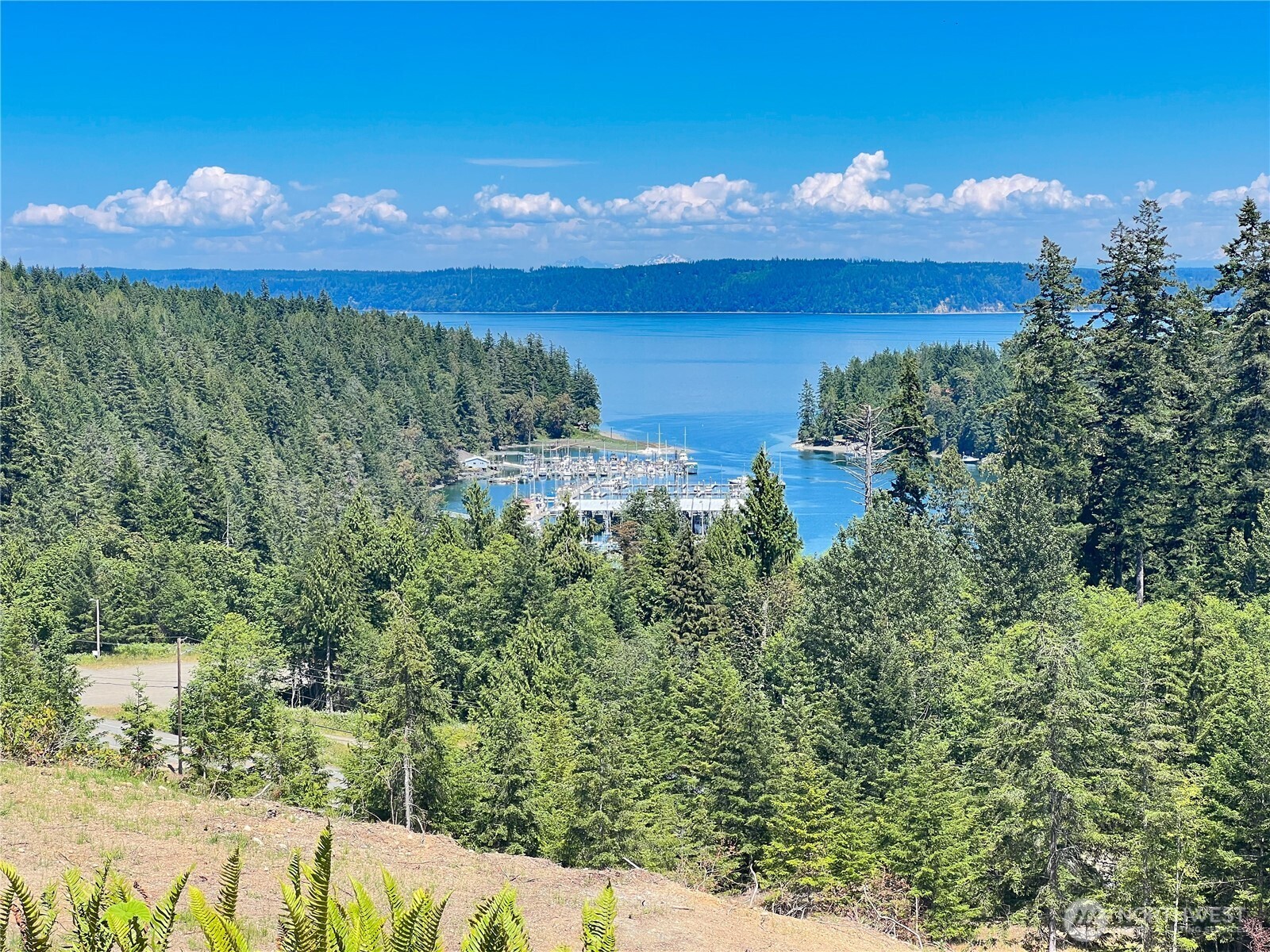 3 XXXX Mt Jupiter Road , Brinnon, WA 98320