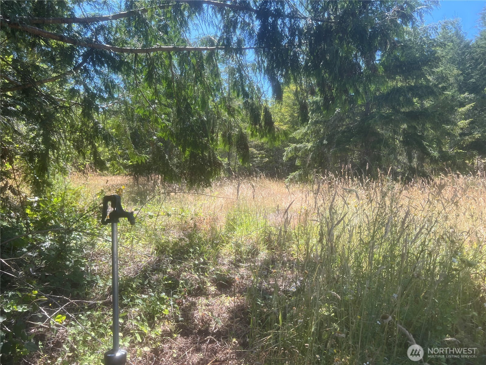 3 XXXX Mt Jupiter Road , Brinnon, WA 98320