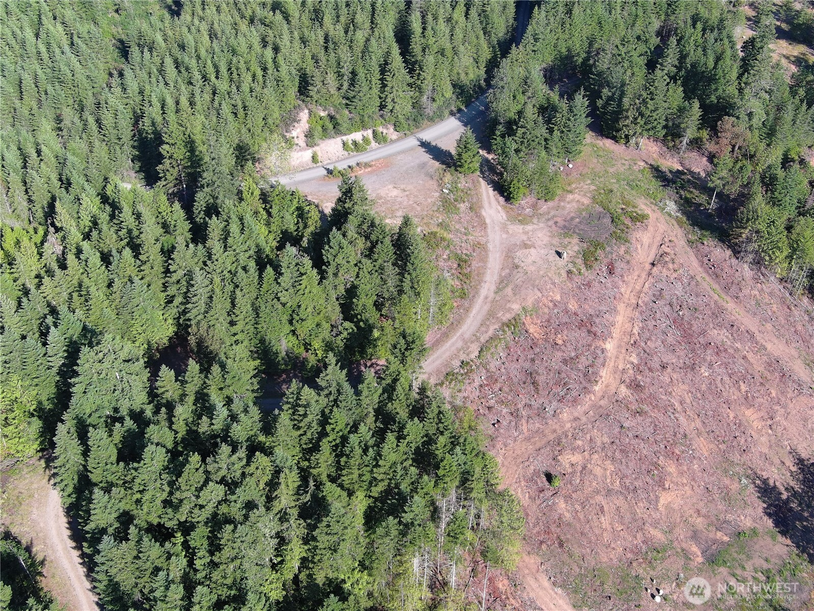 3 XXXX Mt Jupiter Road , Brinnon, WA 98320