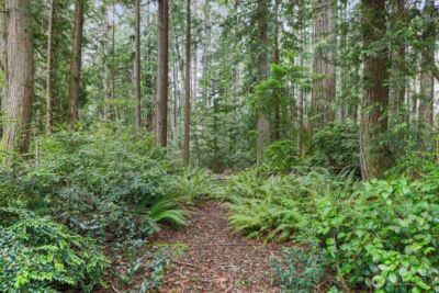 0 Martin Avenue E, Port Orchard, WA 98366 - Photo 11