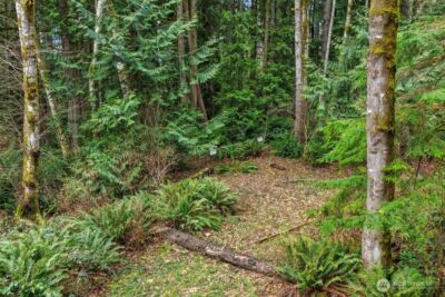 0 Martin Avenue E, Port Orchard, WA 98366 - Photo 9