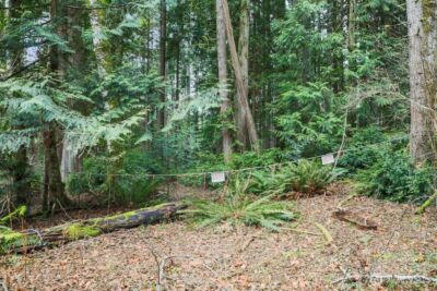 0 Martin Avenue E, Port Orchard, WA 98366 - Photo 10