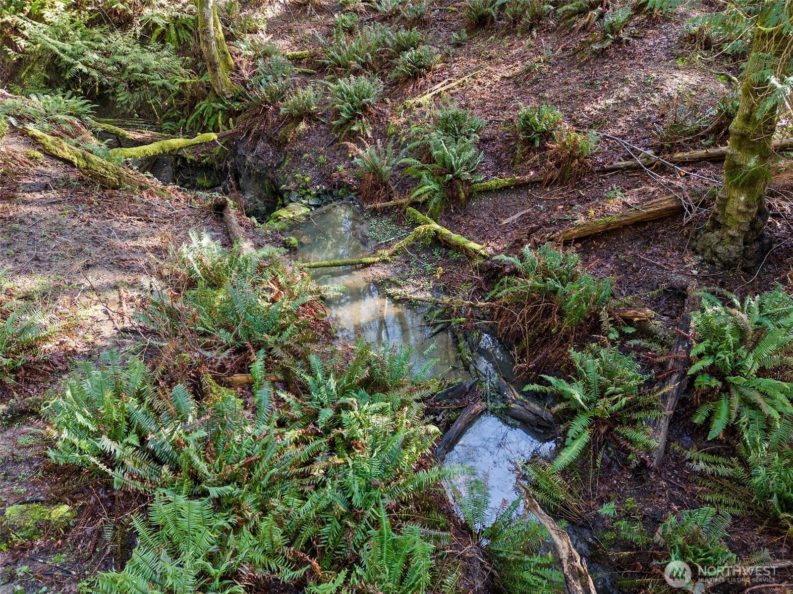 9821 Mariner Drive NW, Olympia, WA 98502