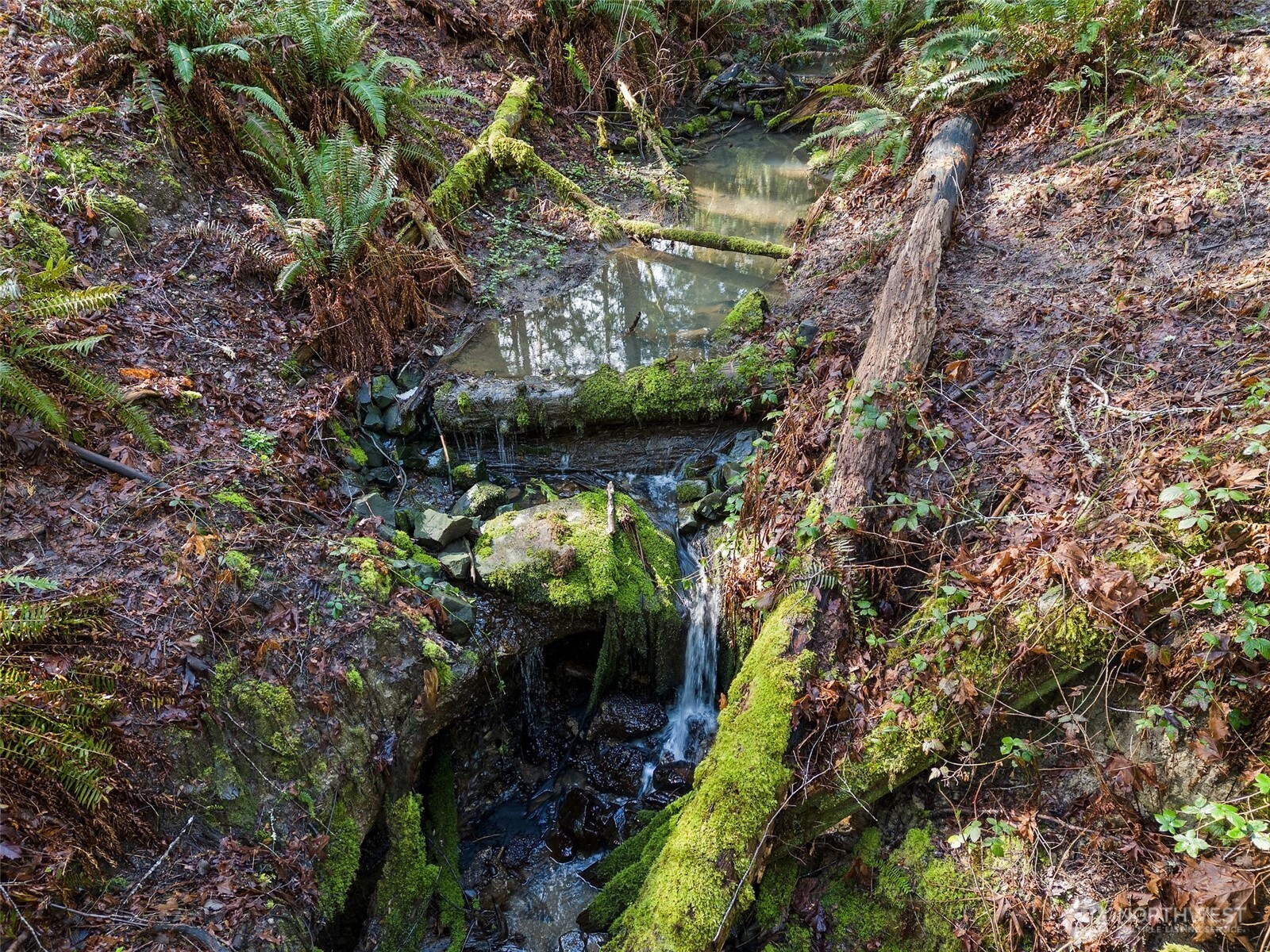 9821 Mariner Drive NW, Olympia, WA 98502