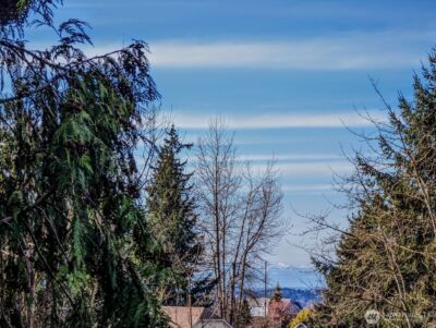 18103 81st Street E, Bonney Lake, WA 98391-7026 - Photo 24