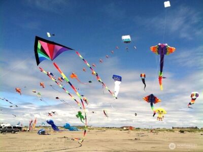 729 Wood Duck Avenue SE, Ocean Shores, WA 98569 - Photo 22