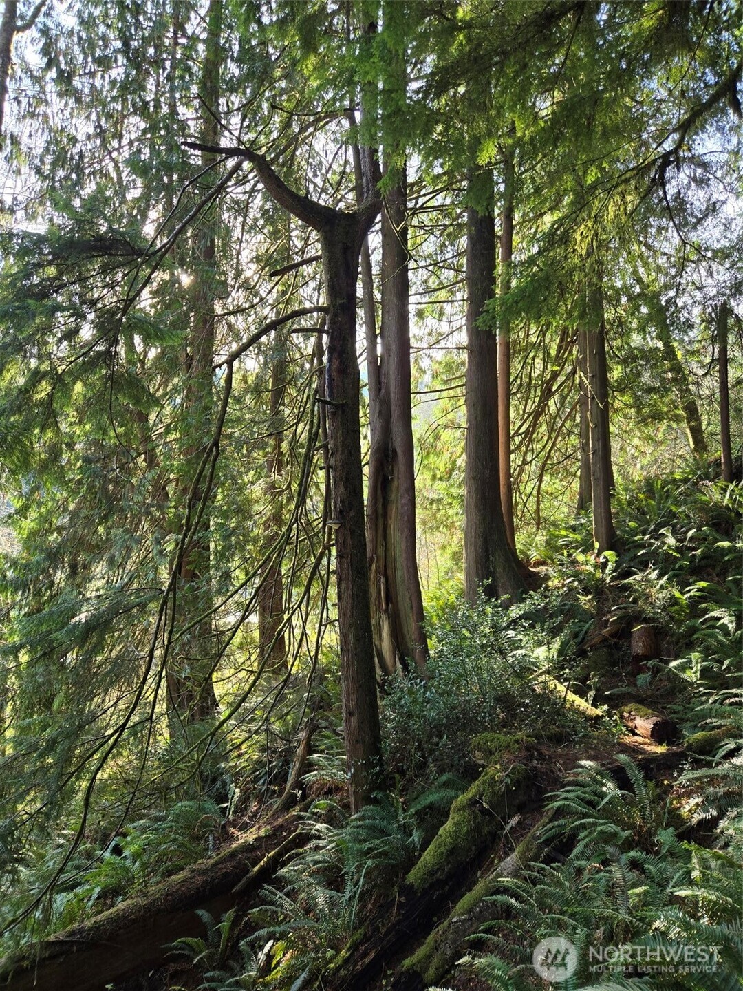 0 NKA Kendrick and Wier Street , South Bend, WA 98586