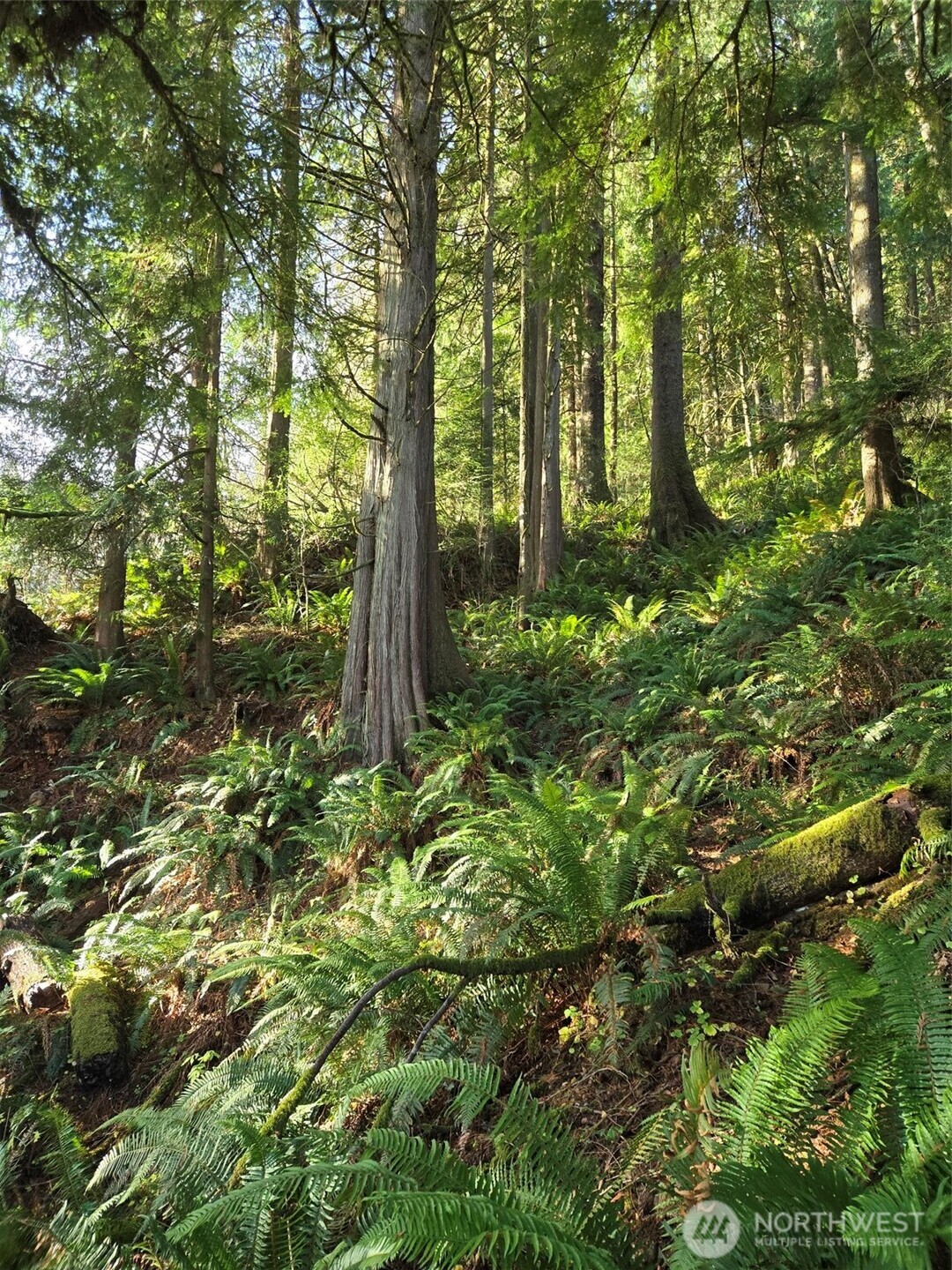 0 NKA Kendrick and Wier Street , South Bend, WA 98586