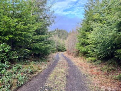 0 Hwy 101 , Cosmopolis, WA 98537 - Photo 2