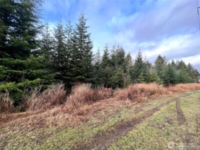 0 Hwy 101 , Cosmopolis, WA 98537 - Photo 6
