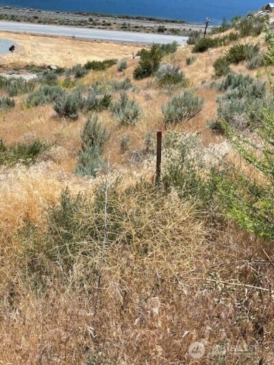 37 Osprey Nest Road , Pateros, WA 98846 - Photo 5