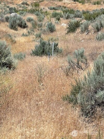 37 Osprey Nest Road , Pateros, WA 98846 - Photo 6