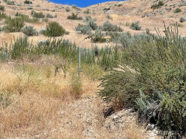 37 Osprey Nest Road , Pateros, WA 98846