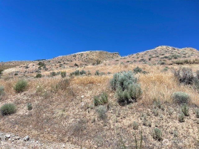 37 Osprey Nest Road , Pateros, WA 98846