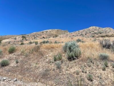 37 Osprey Nest Road , Pateros, WA 98846 - Photo 10